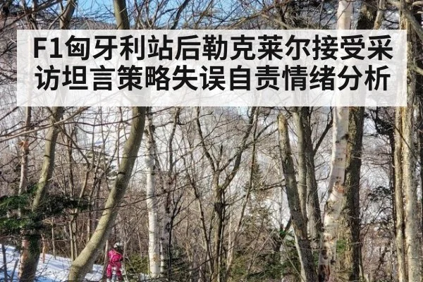 F1匈牙利站后勒克莱尔接受采访坦言策略失误自责情绪分析