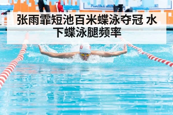 butterfly stroke race