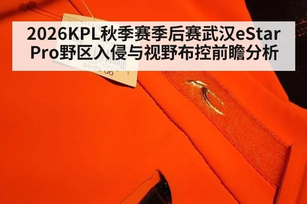 2026KPL秋季赛季后赛武汉eStarPro野区入侵与视野布控前瞻分析